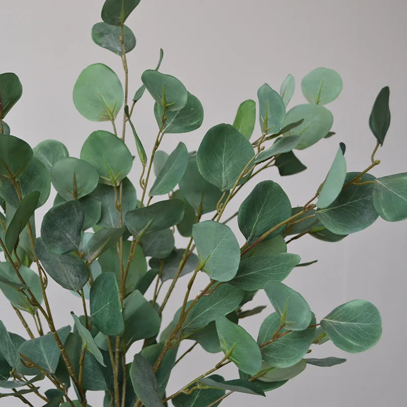 89 cm foglie di eucalipto pian - Photography Hotel recensione e prezzo