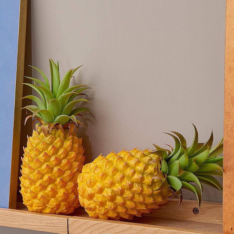 Modello di Ananas Artificiale  - Photography Hotel recensione e prezzo