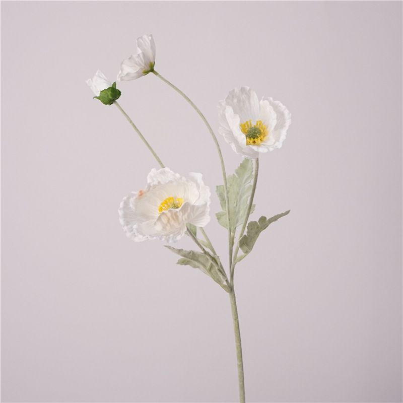 Fiore di Papavero Artificiale  - Photography Hotel recensione e prezzo