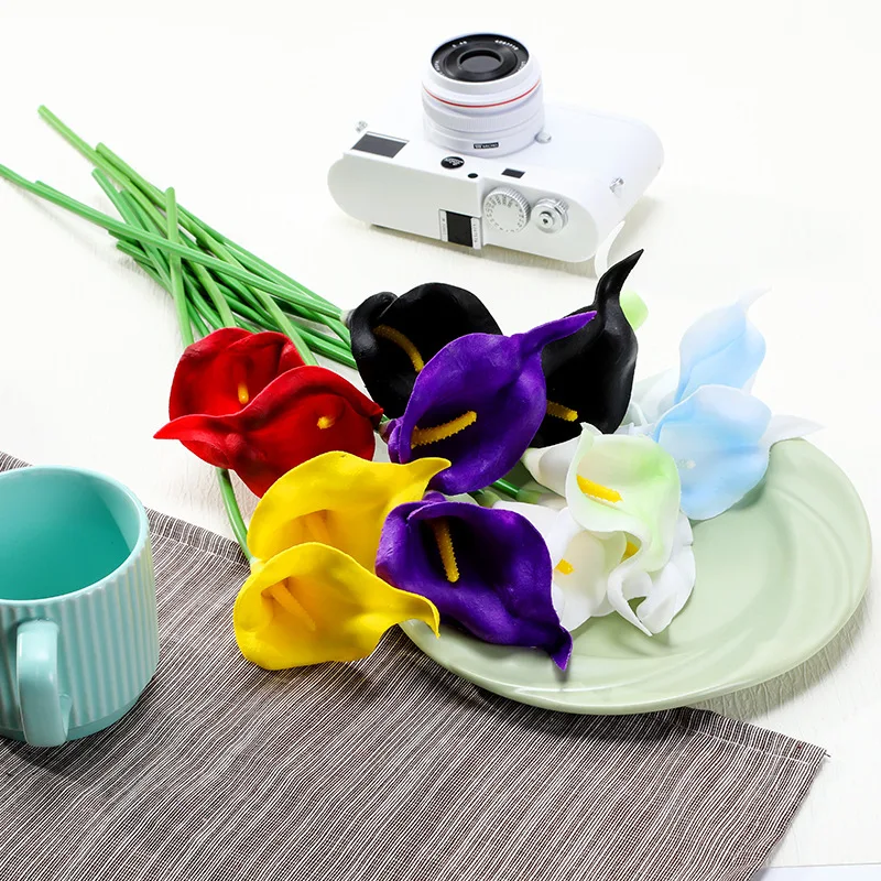 10 pezzi di simulazione della  - Photography Hotel recensione e prezzo